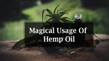 Hemp Oil Benefits with Its Magical Usage